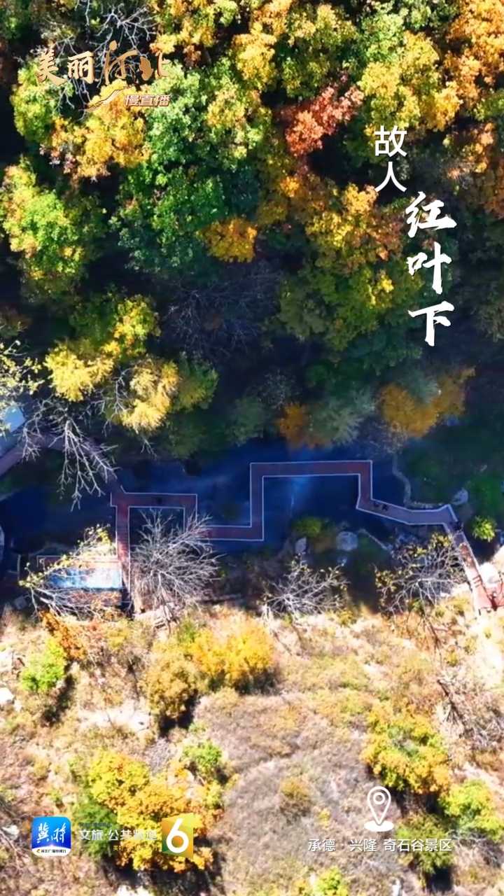 动海报｜美丽河北慢直播·承德兴隆奇石谷景区