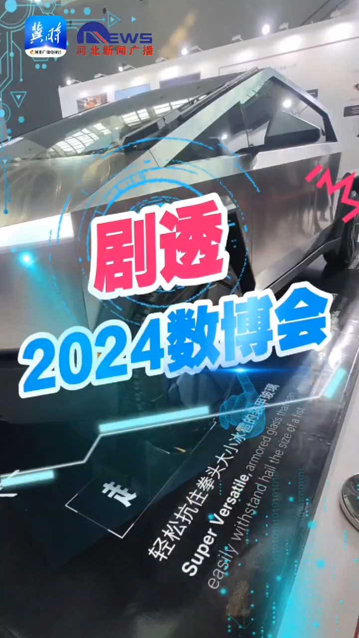 剧透·2024数博会｜特斯拉的硬核产品