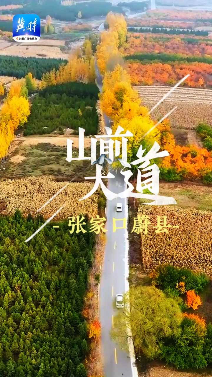 四好农村路 带我上太行｜笑在脸上 甜在心里！张家口蔚县山前大道上的幸福满满哒~