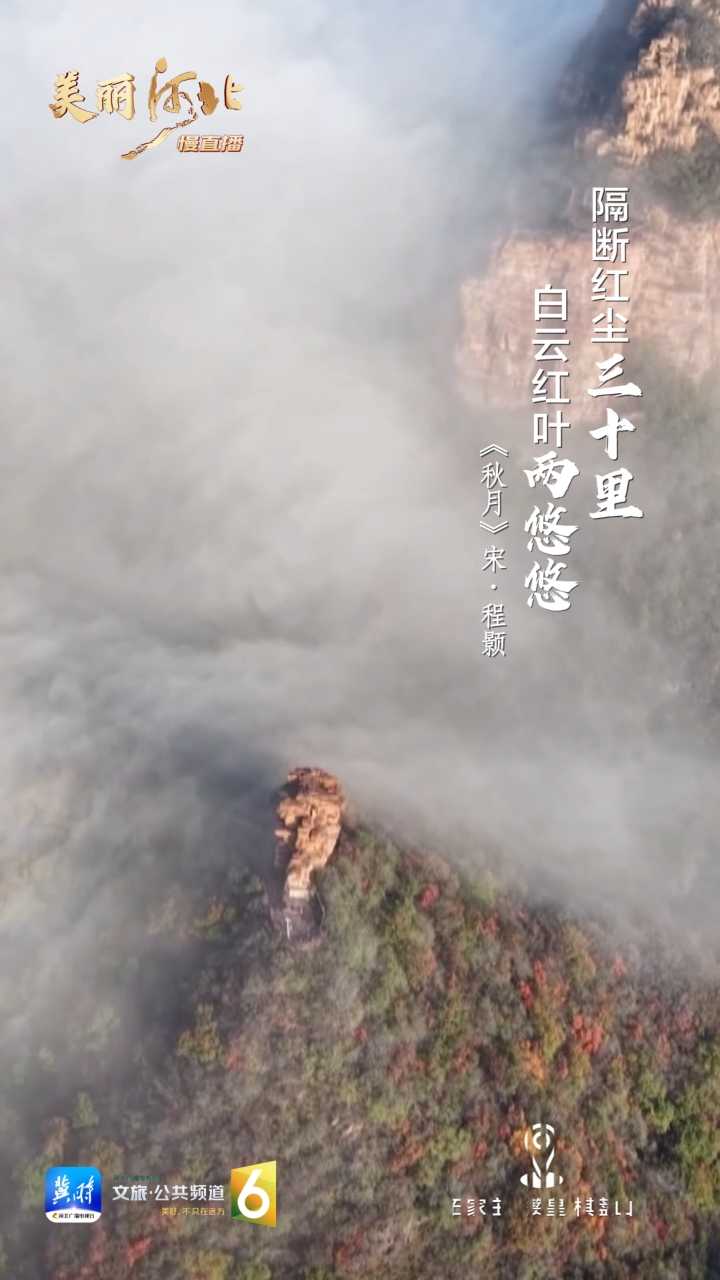 动海报｜美丽河北慢直播·石家庄赞皇棋盘山