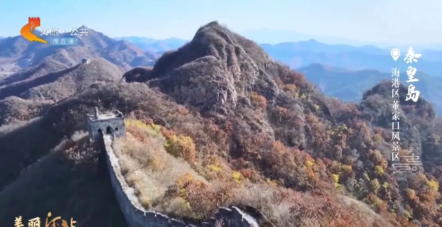 美丽河北慢直播丨山色苍茫映长城，千年古韵展雄风 秦皇岛 清晨 2024/11/08#这么近，那么美，周末到河北