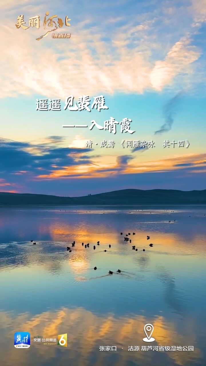 动海报｜美丽河北慢直播·张家口沽源葫芦河省级湿地公园