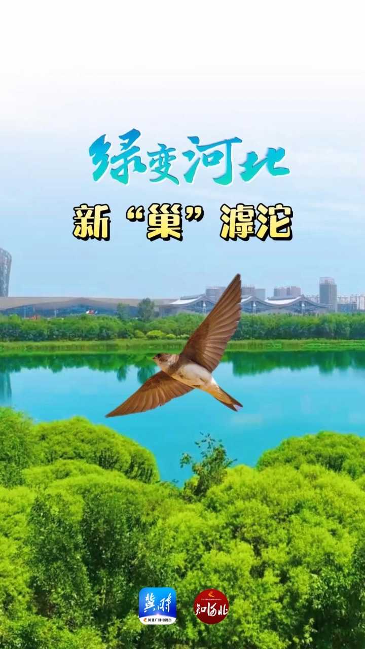 《绿变河北》（一）新“巢”滹沱