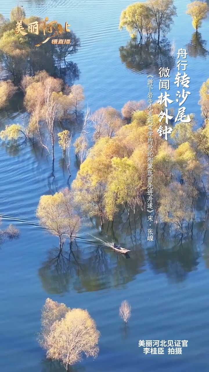 动海报｜美丽河北慢直播·保定阜平王快水库