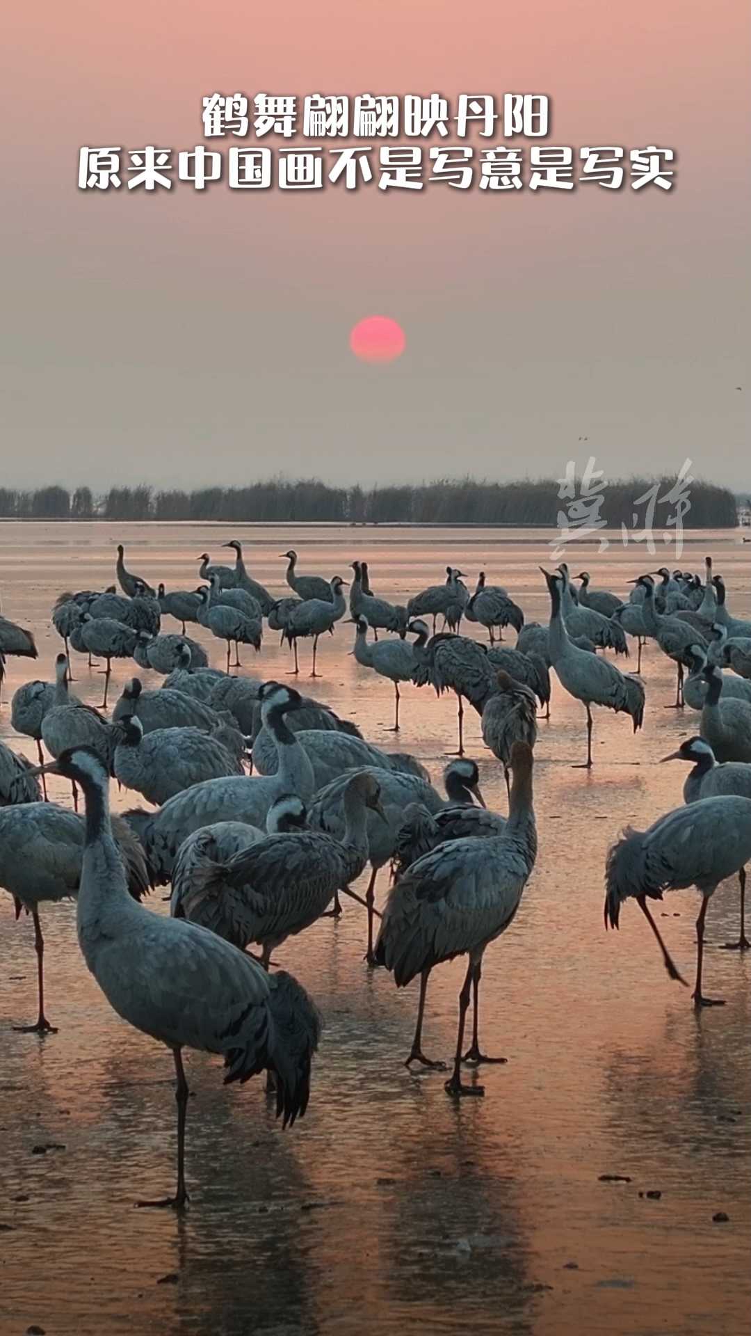 “冀”情山水 | 鹤舞翩翩映丹阳 原来中国画不是写意是写实