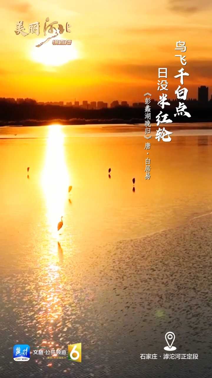 动海报｜美丽河北慢直播·石家庄滹沱河正定段