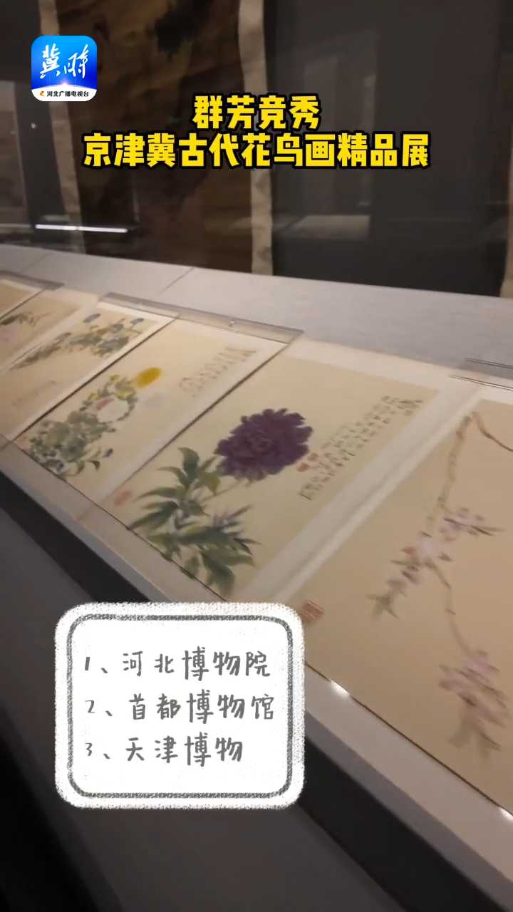 河北博物院又上新展啦！群芳竞秀——京津冀古代花鸟画精品展开展！