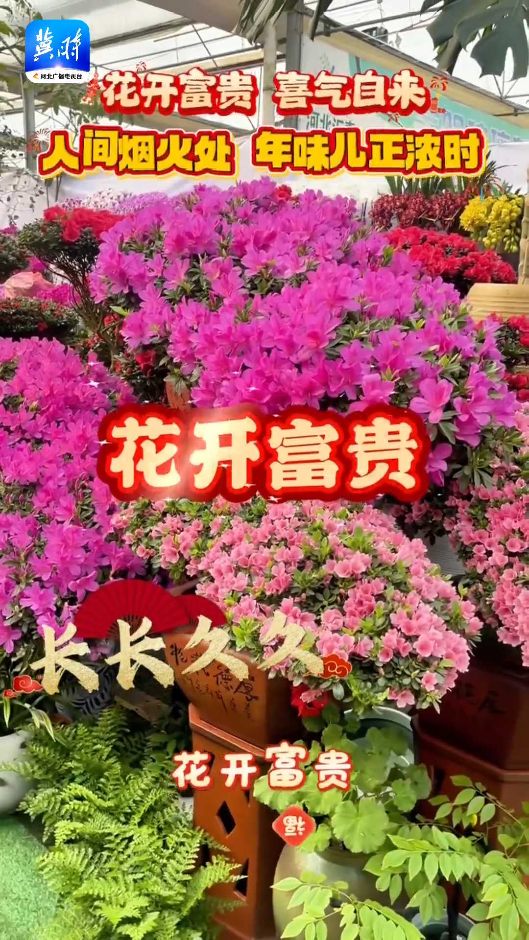 花开富贵 喜气自来｜人间烟火处，年味儿正浓时！