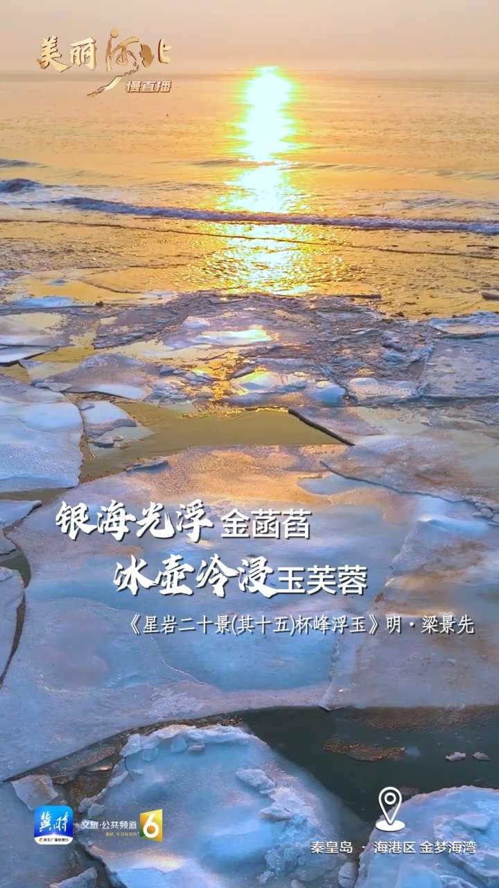 动海报｜美丽河北慢直播·秦皇岛海港区金梦海湾