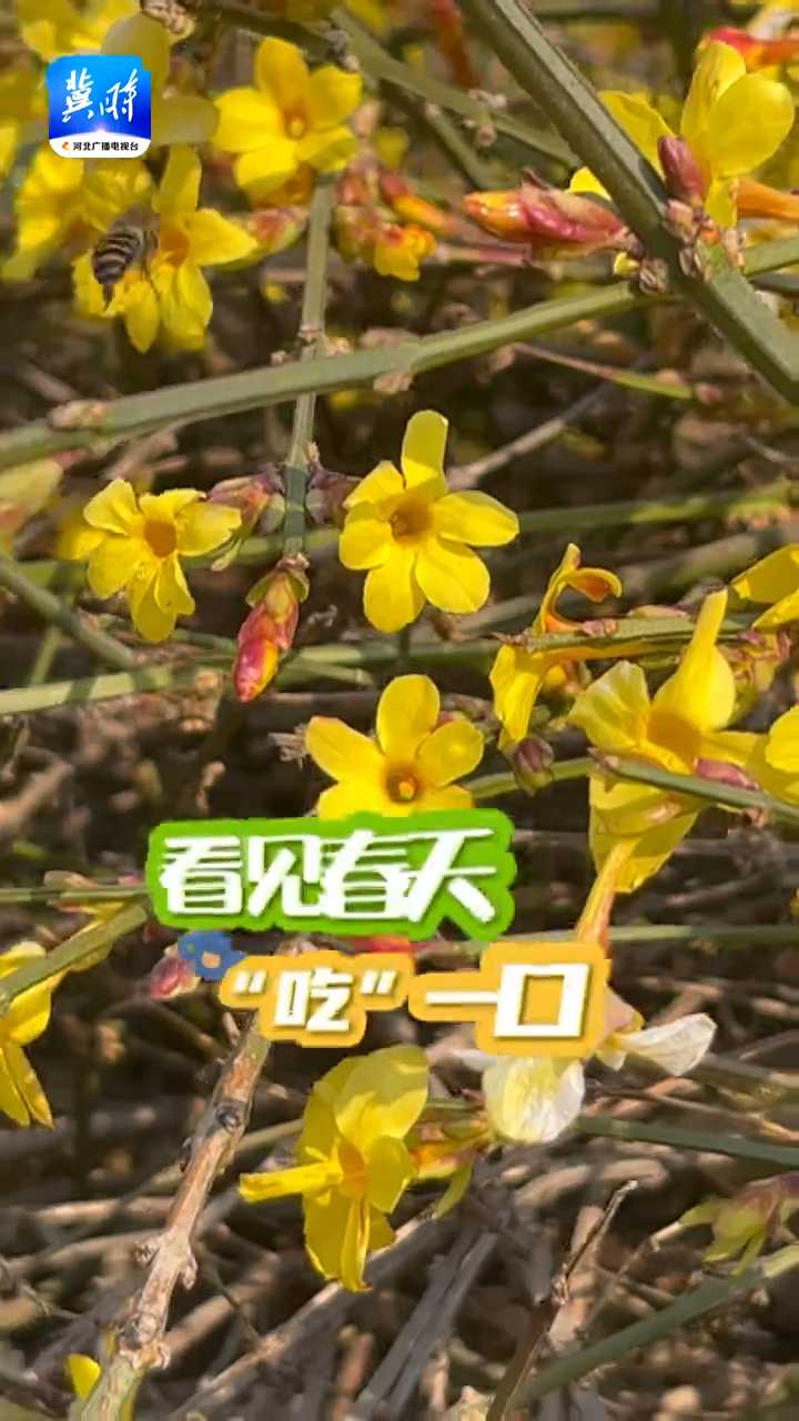 看见春天“吃”一口