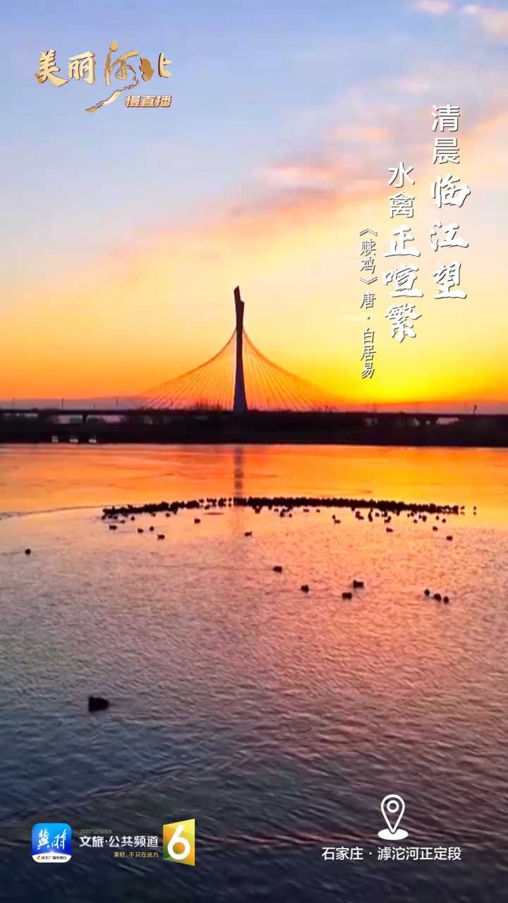 动海报｜美丽河北慢直播·石家庄滹沱河正定段