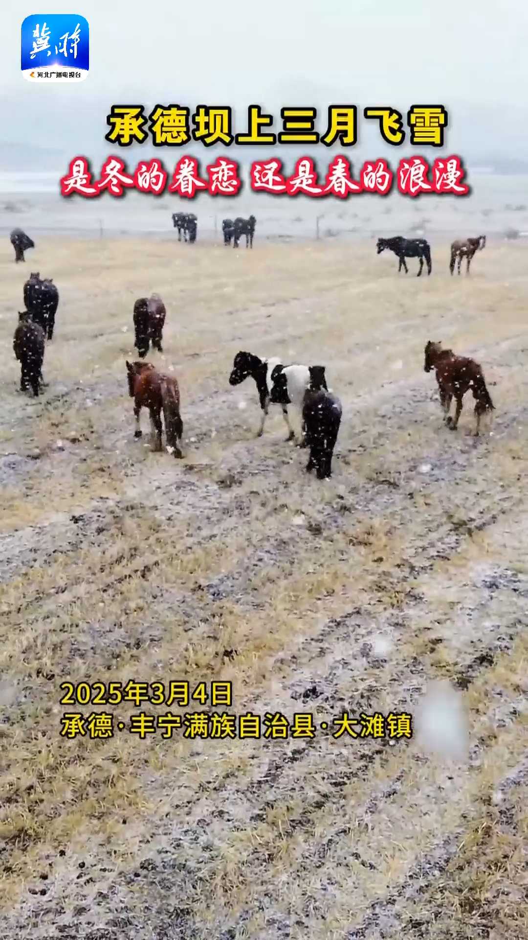 承德坝上三月飞雪，是冬的眷恋还是春的浪漫？