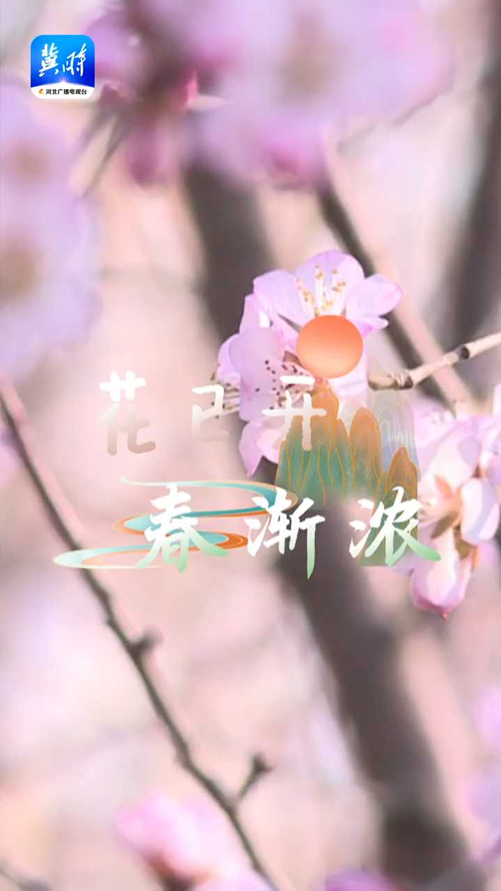 与你，共赴一场春日的花事