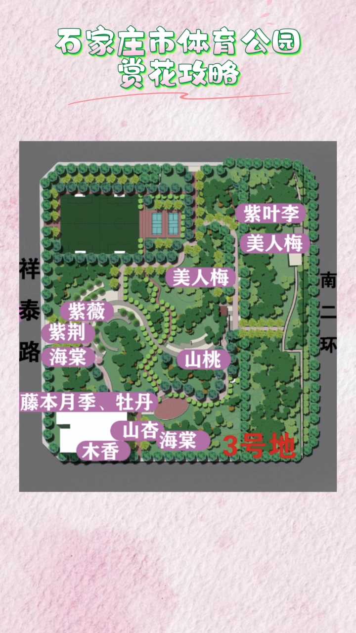 春天花会开｜石家庄市体育公园赏花攻略