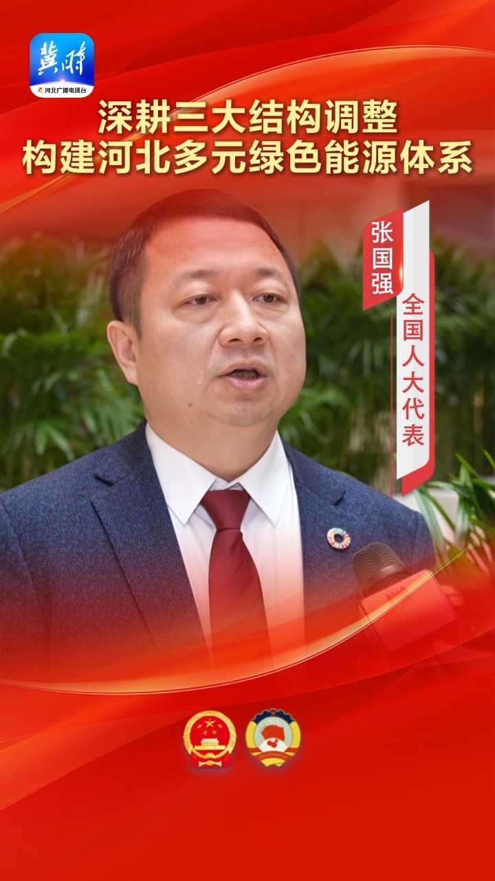 两会好声音 | 张国强代表：深耕三大结构调整 构建河北多元绿色能源体系