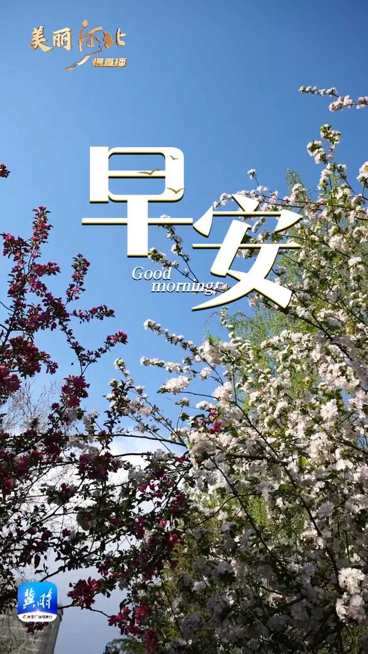 2025年4月18日，早安！世人匆匆忙忙，多为碎银几两，但亲爱的，如果赶路太累，我陪你去晒十五分钟春天的太阳