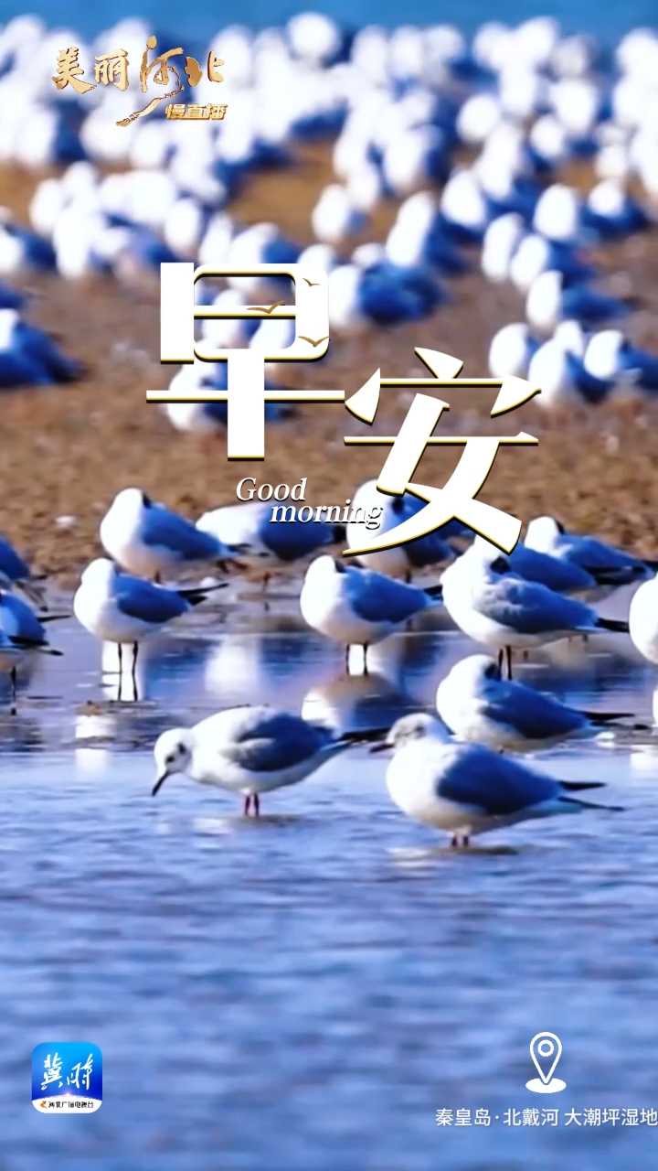 2025年4月19日，早安！忙碌一周，今天把工作都抛脑后，去风景里坐坐，在阳光下发呆。春天真好，发现了吗？你也融入了这样美好的春天里！
