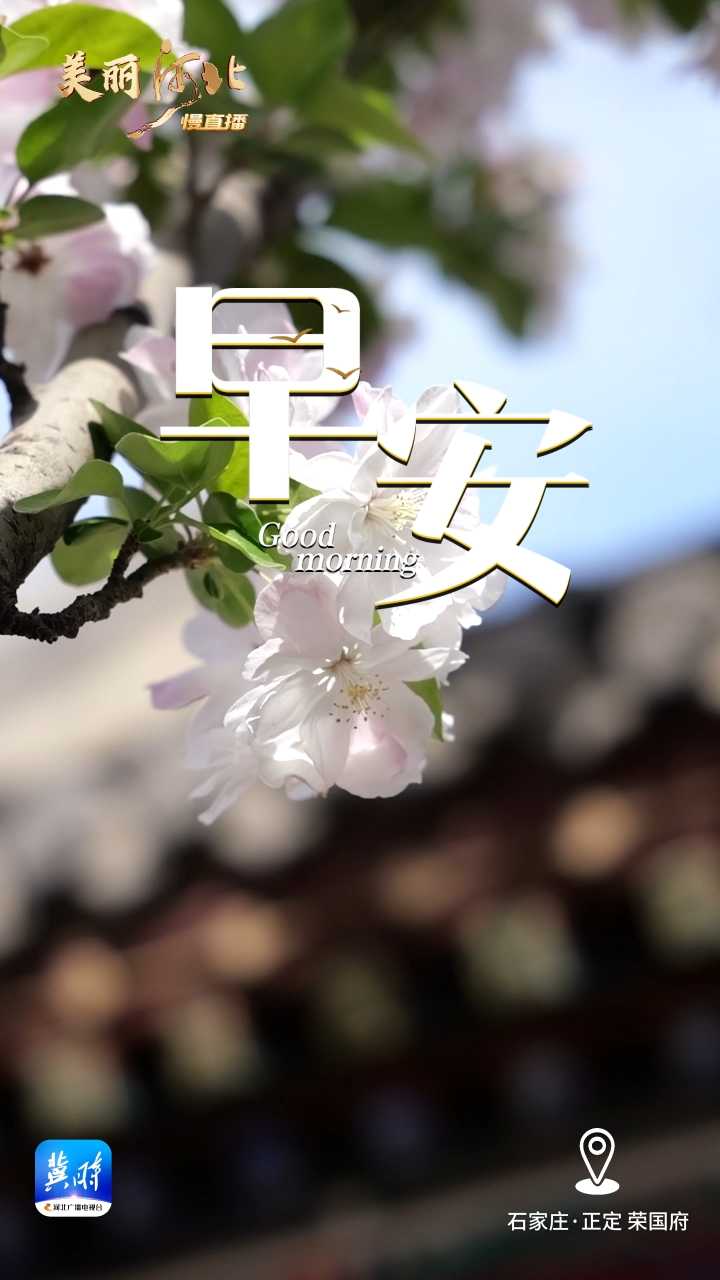 2025年4月20日，周末愉快！今天是谷雨，我们迎来了春天最后一个节气。谷雨谷雨，采茶对雨，不妨约上三五好友，品茶赏花，感受春天，再见面，就是在夏日的门口了