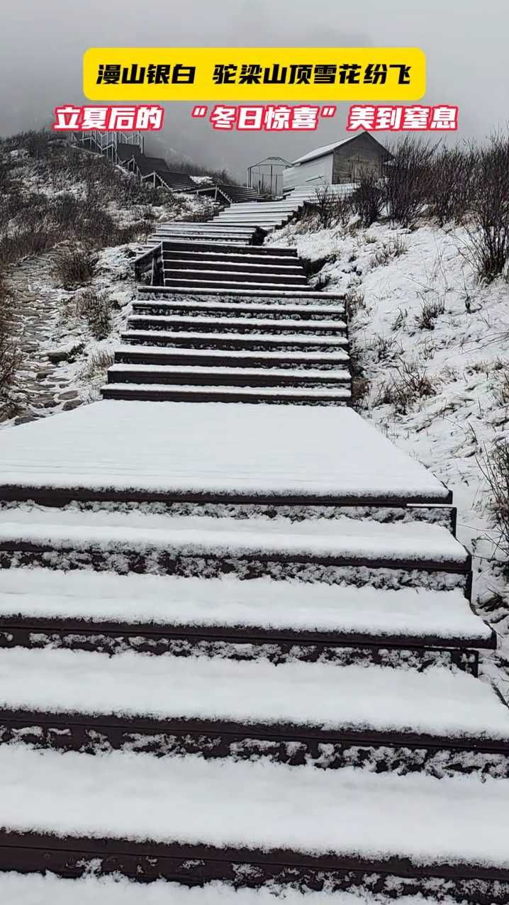 漫山銀白 駝梁山頂雪花紛飛 立夏后的 “冬日驚喜”美到窒息