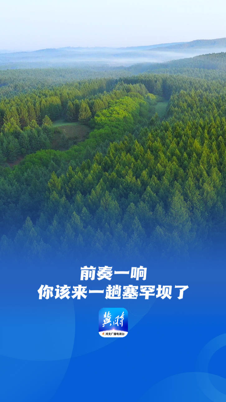 21℃的夏天丨前奏一响，你该来一趟塞罕坝了！