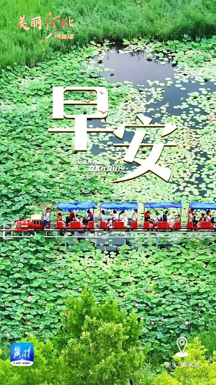 2025年7月3日，早安！“叶上初阳干宿雨，水面清圆，一一风荷举”夏日的荷，是怎么都看不够的，出淤泥而不染 濯清涟而不妖，香远益清，亭亭净植。花之君子者也！