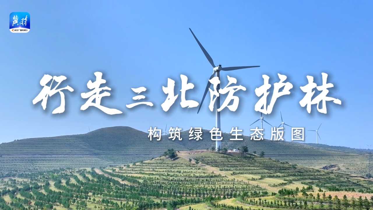 行走三北防护林 | 构筑绿色生态版图