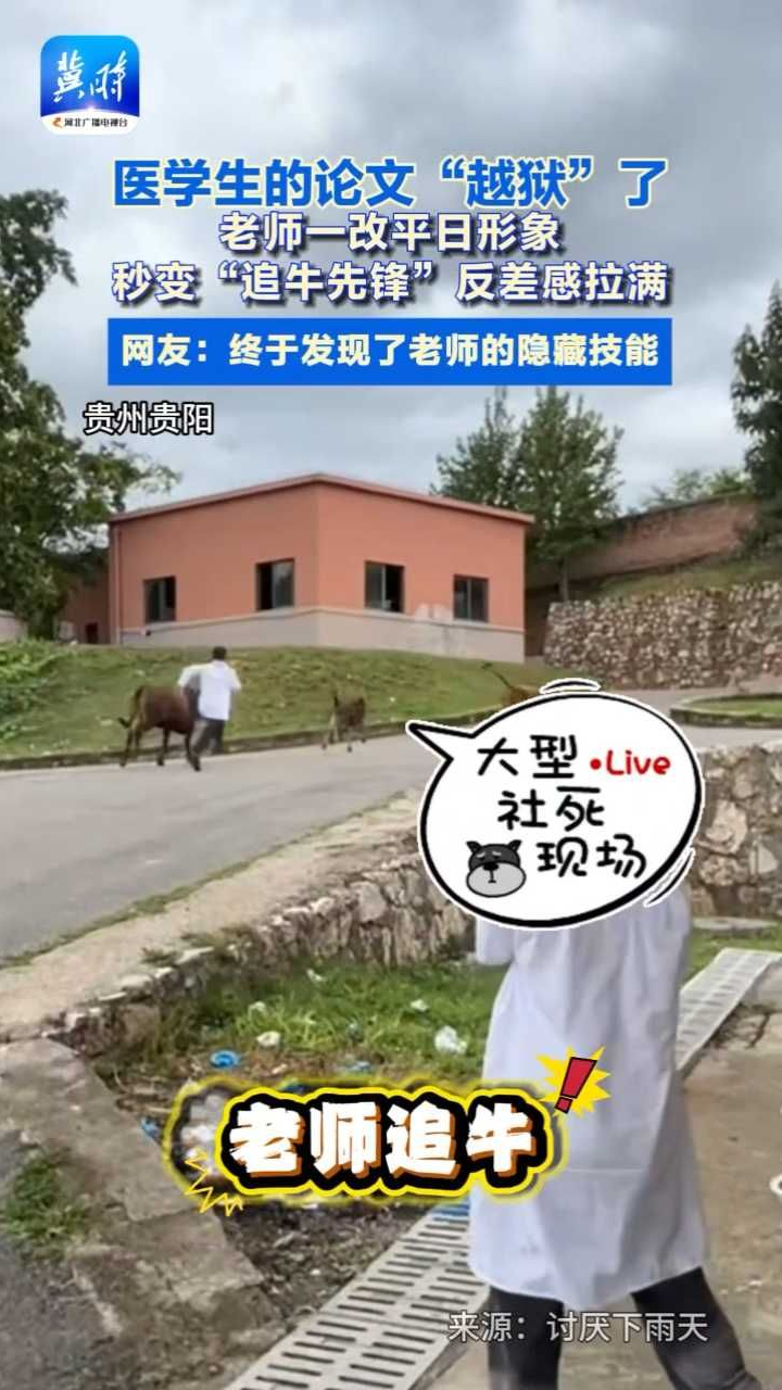 医学生的论文“越狱”了，老师一改平日形象秒变“追牛先锋”反差感拉满。网友：终于发现了老师的隐藏技能