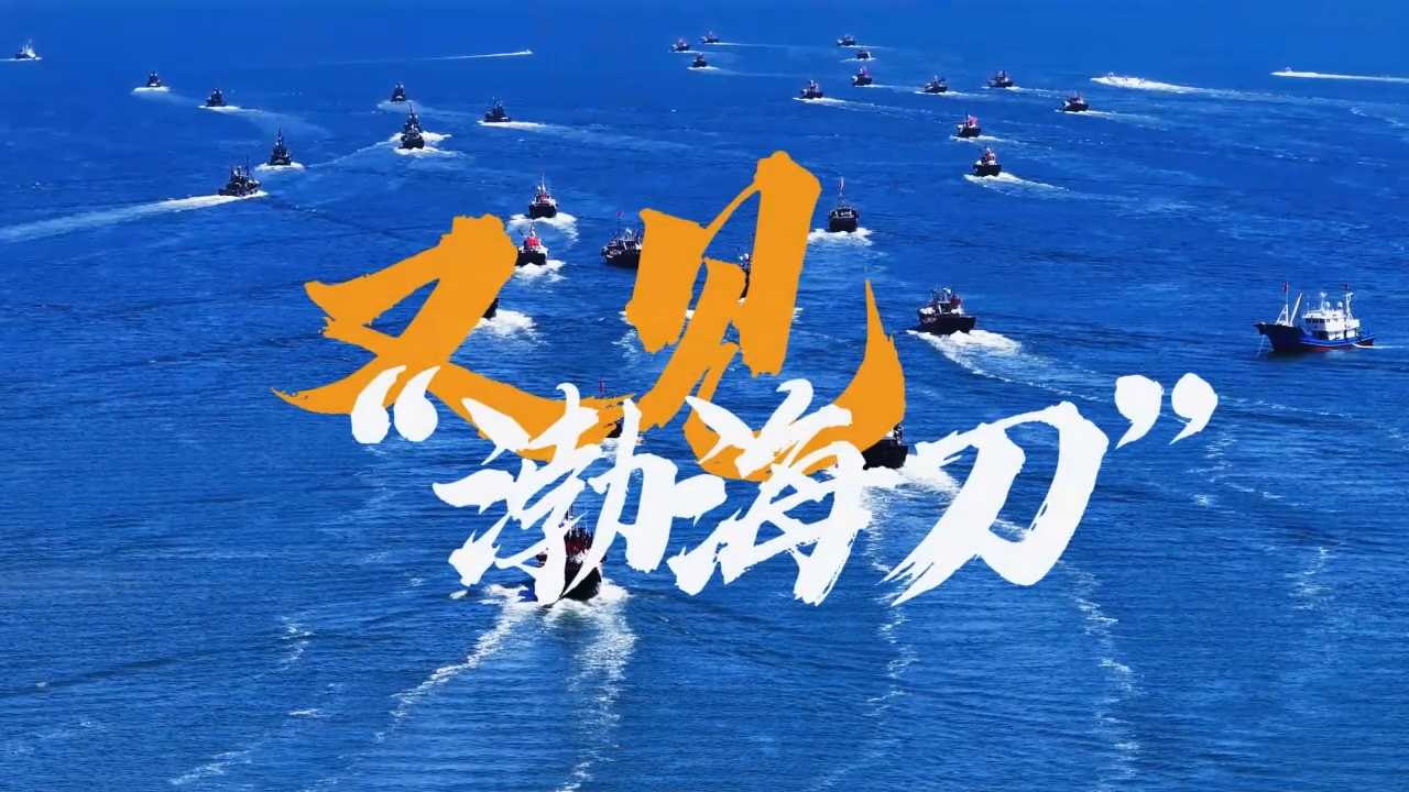 《又见“渤海刀”》｜曾隐匿于岁月深处的“银鳞”，终随渤海治理浪潮跃然海面。那尾穿梭洄游的刀鱼，载着渤海的咸鲜，更藏着海洋从沉寂到复苏的故事——每一次摆尾是生态向好的注脚，每一缕银光都是人与自然共生的回响。