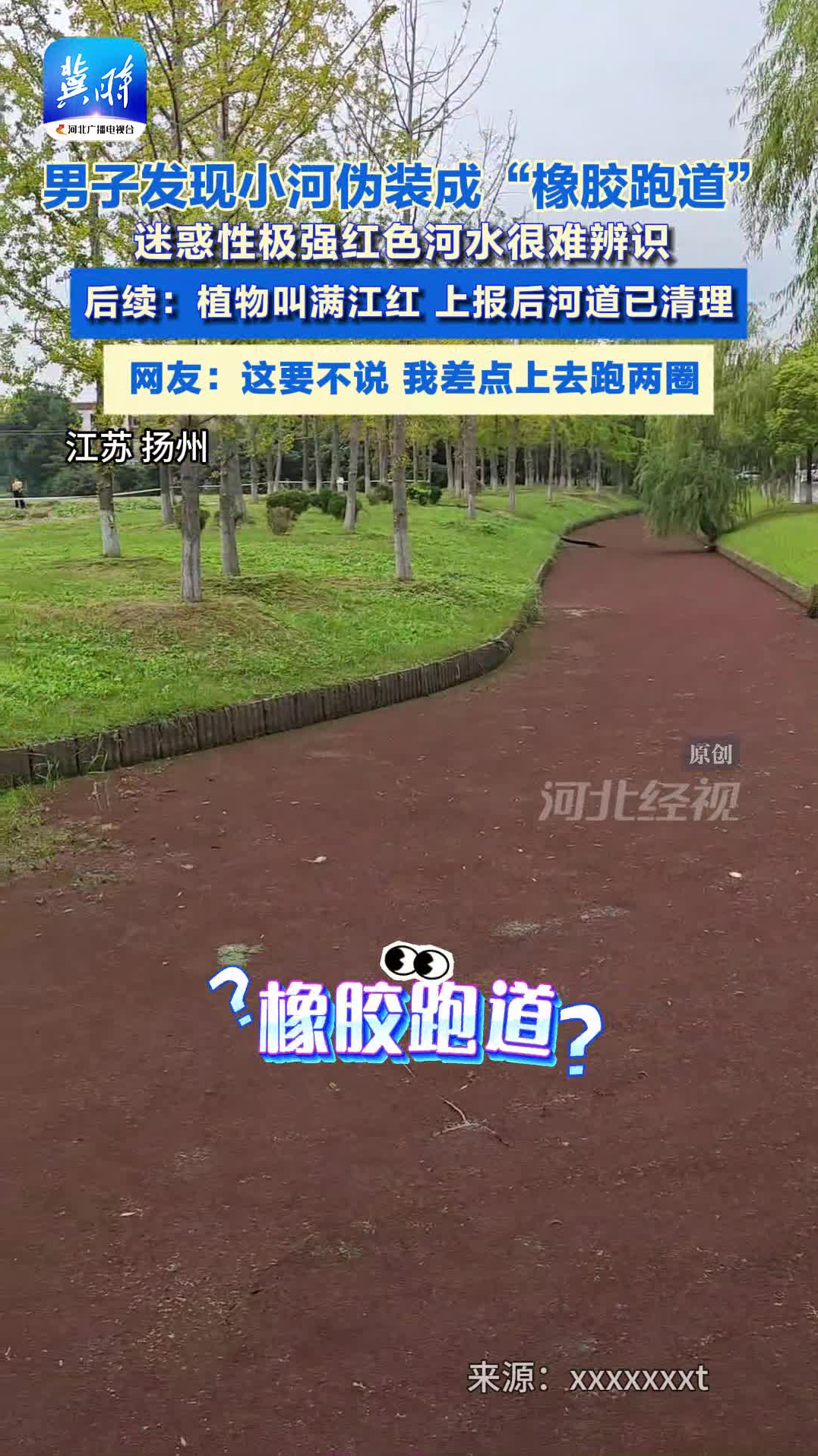 男子發現小河偽裝成“橡膠跑道” ，迷惑性極強紅色河水很難辨識， 后續：植物叫滿江紅，上報后河道已清理。網友：這要不說，我差點上去跑兩圈