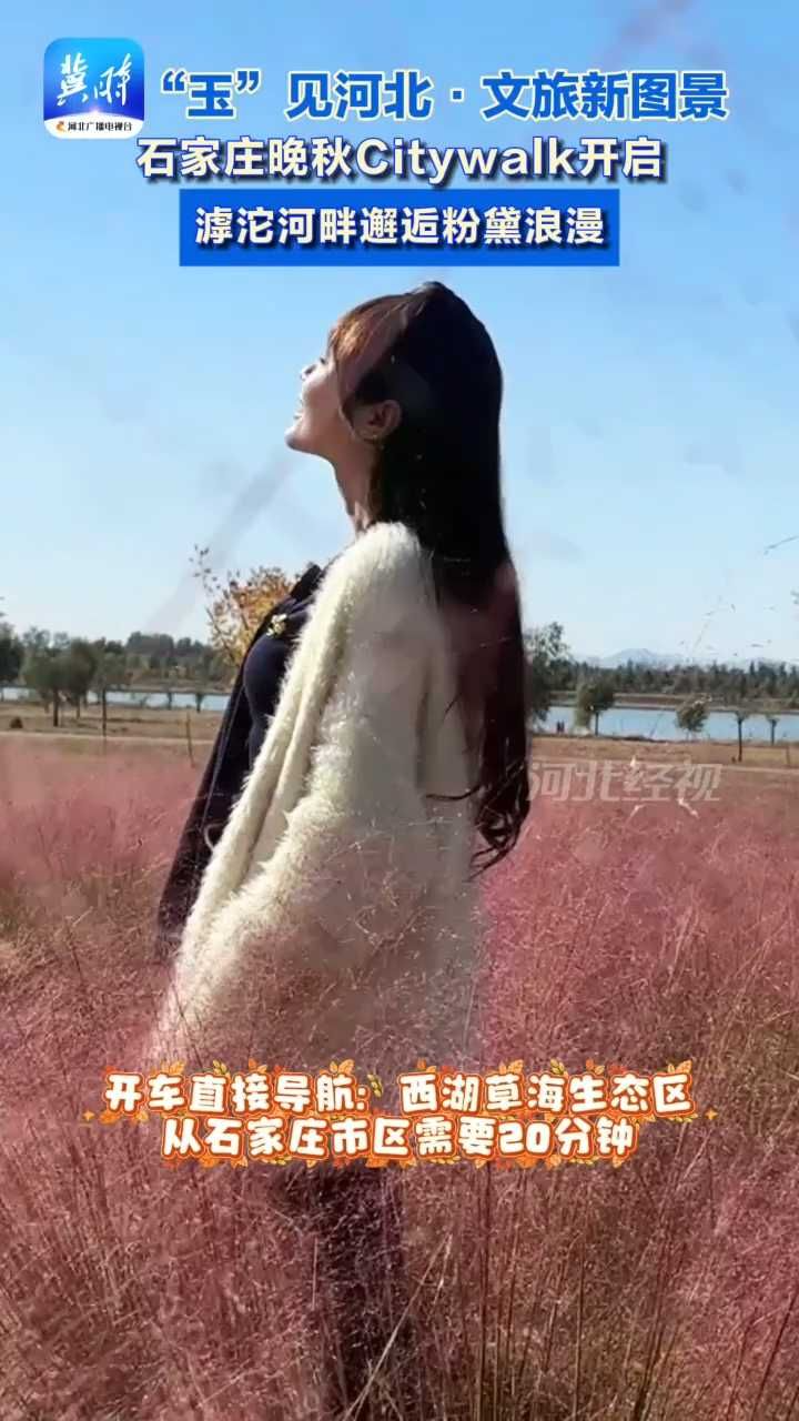 石家庄秋日Citywalk：滹沱河畔邂逅粉黛浪漫#玉见河北#秋游#粉黛