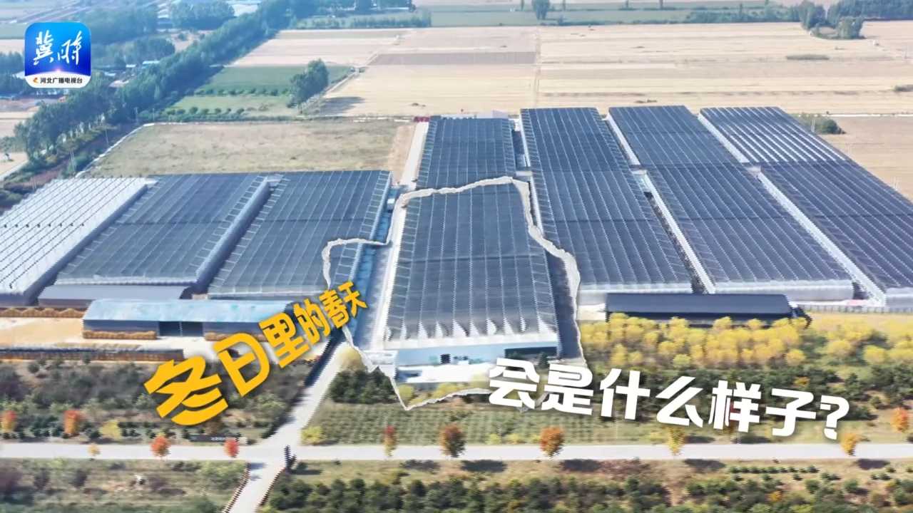 【新农人·新农时】立冬：红掌园来了“新掌门”！用知识点亮田间智慧