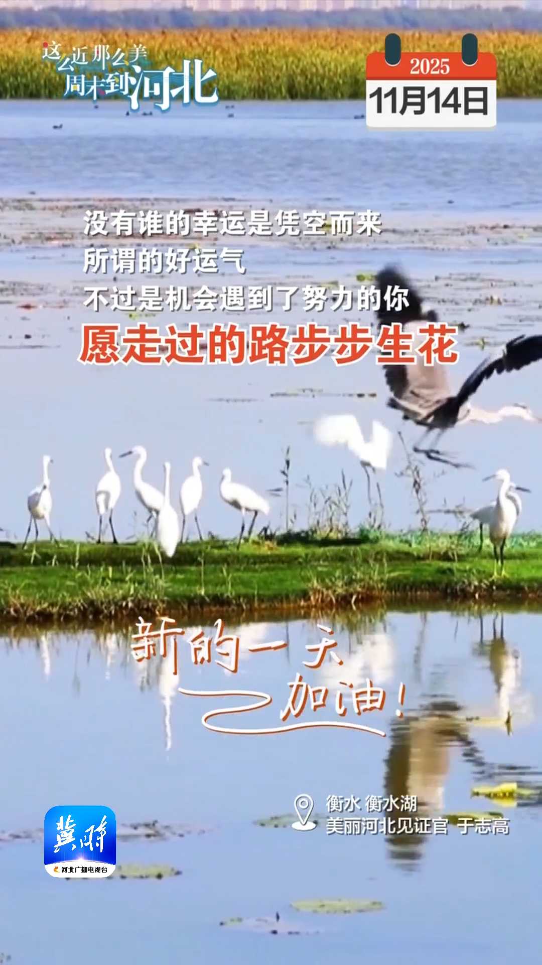 2025年11月14日 星期五 農(nóng)歷九月廿五｜沒有誰的幸運是憑空而來，所謂的好運氣，不過是機會遇到了努力的你，愿走過的路步步生花！新的一天，加油！