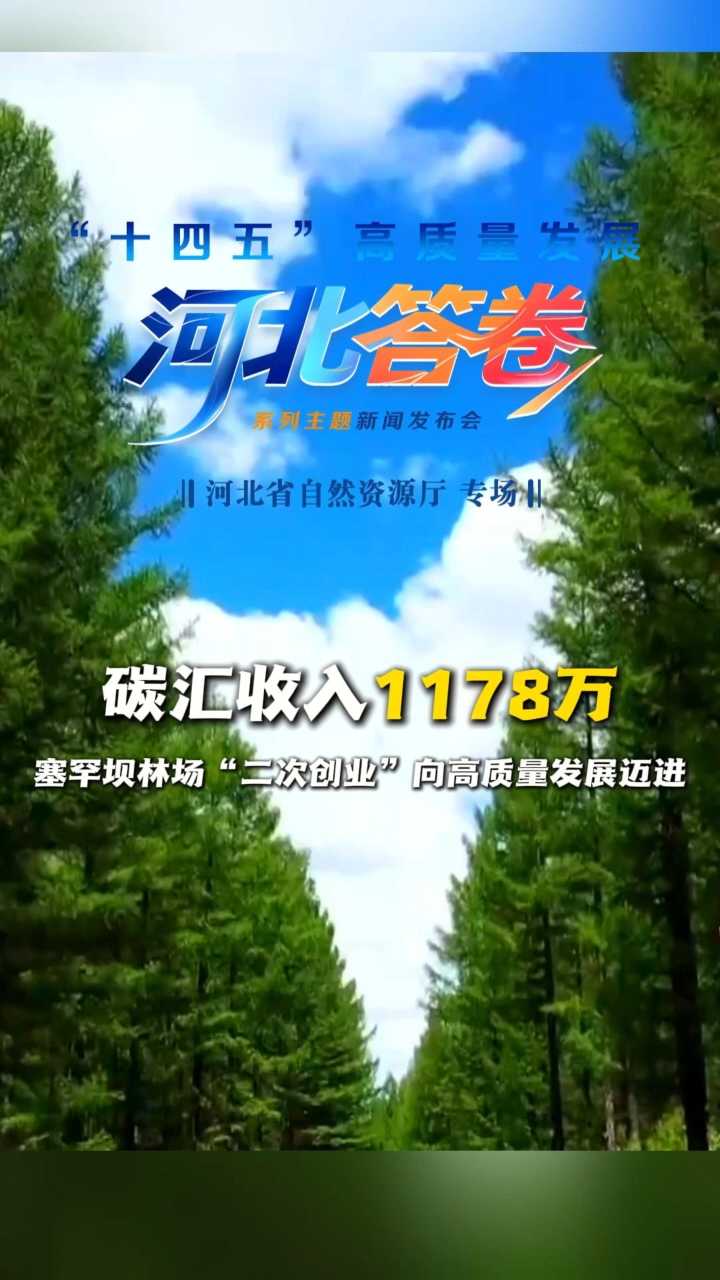 “十四五”河北答卷丨碳汇收入1178万！塞罕坝林场“二次创业”向高质量发展迈进