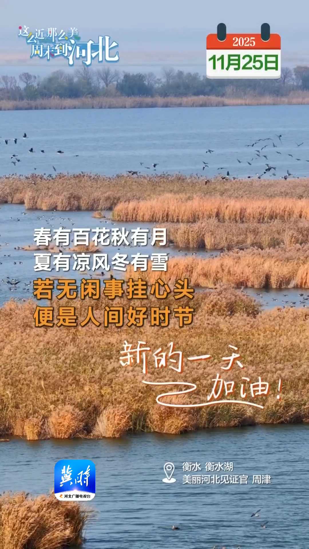 2025年11月25日 星期二 农历十月初六｜春有百花秋有月 夏有凉风冬有雪 若无闲事挂心头 便是人间好时节