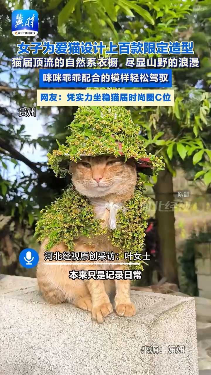 女子为爱猫设计上百款限定造型，猫届顶流的自然系衣橱，尽显山野的浪漫，咪咪乖乖配合的模样轻松驾驭。网友：凭实力坐稳猫届时尚圈C位