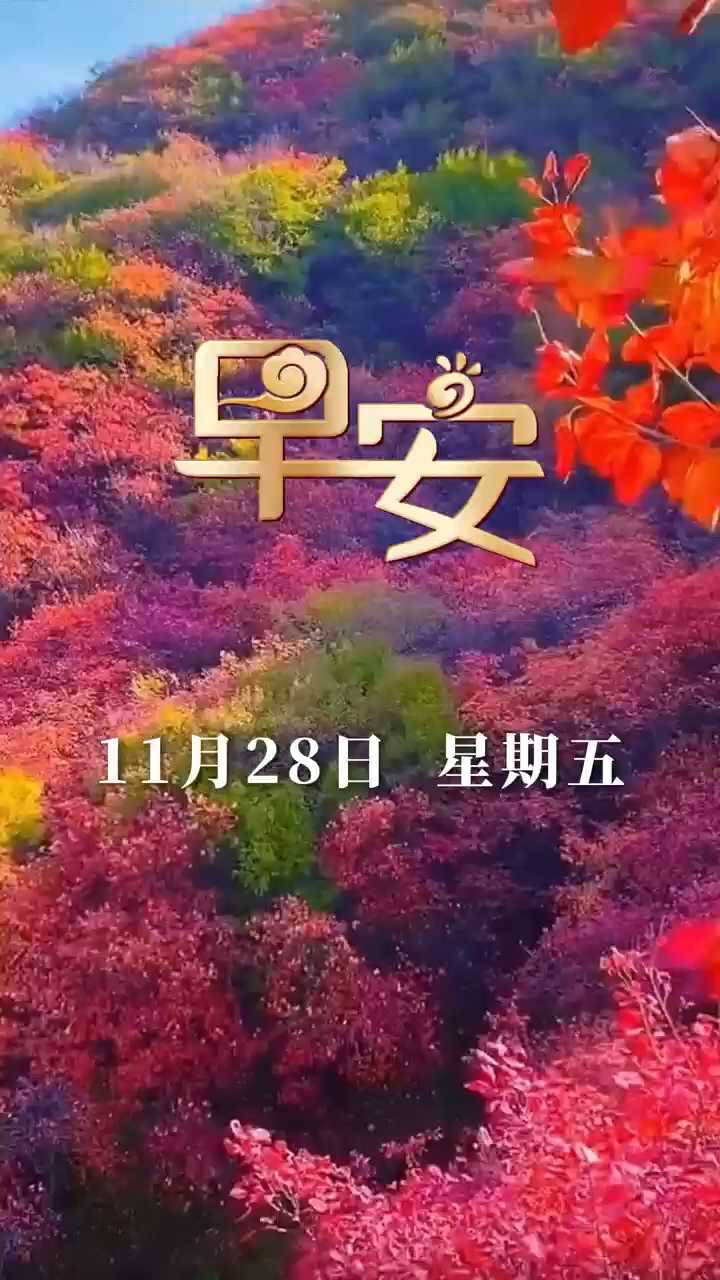 早安丨愿您安康常伴