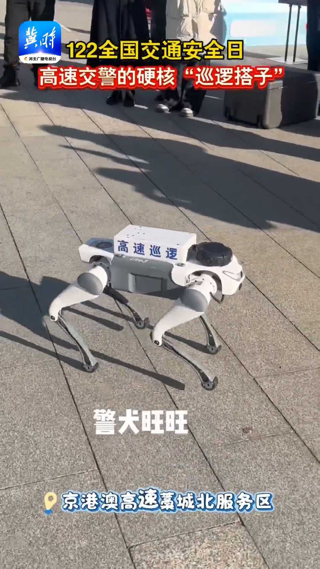 122全国交通安全日｜高速交警的硬核“巡逻搭子”