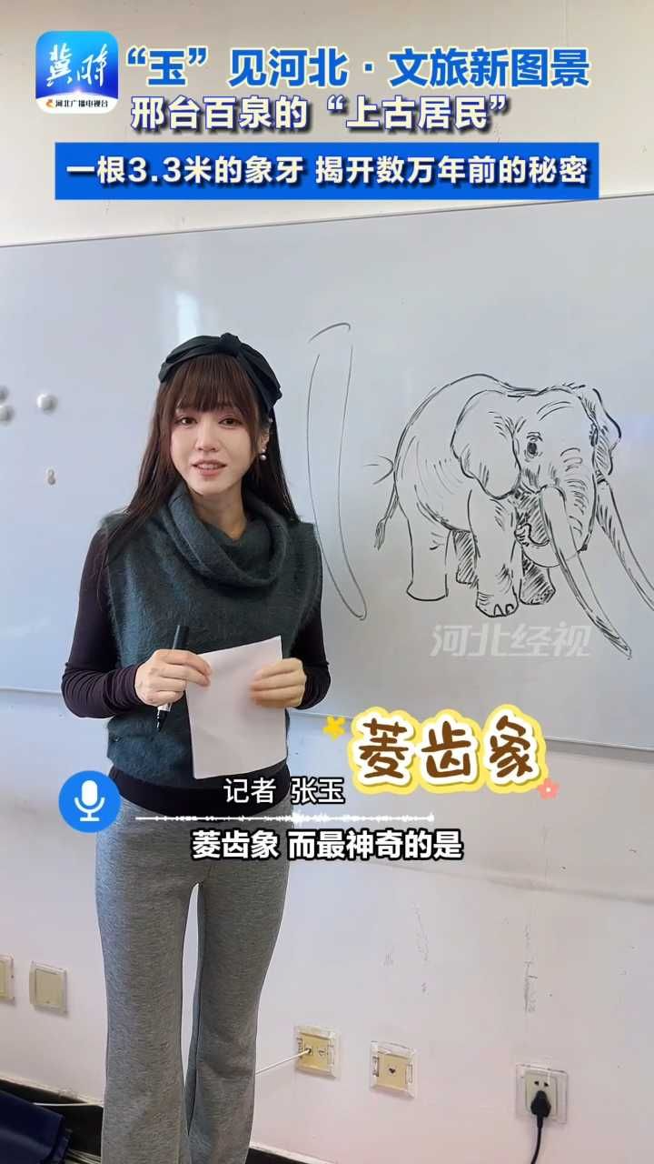 你以为邢台历史只有几千年？一根3.3米的象牙，揭开了数万年前的秘密！ #玉见河北 #邢台 #邢台动物群 #这么近那么美周末到河北