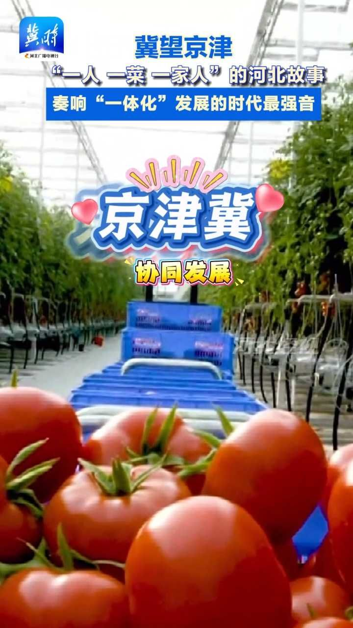 讲好“一人 一菜 一家人”的河北故事！