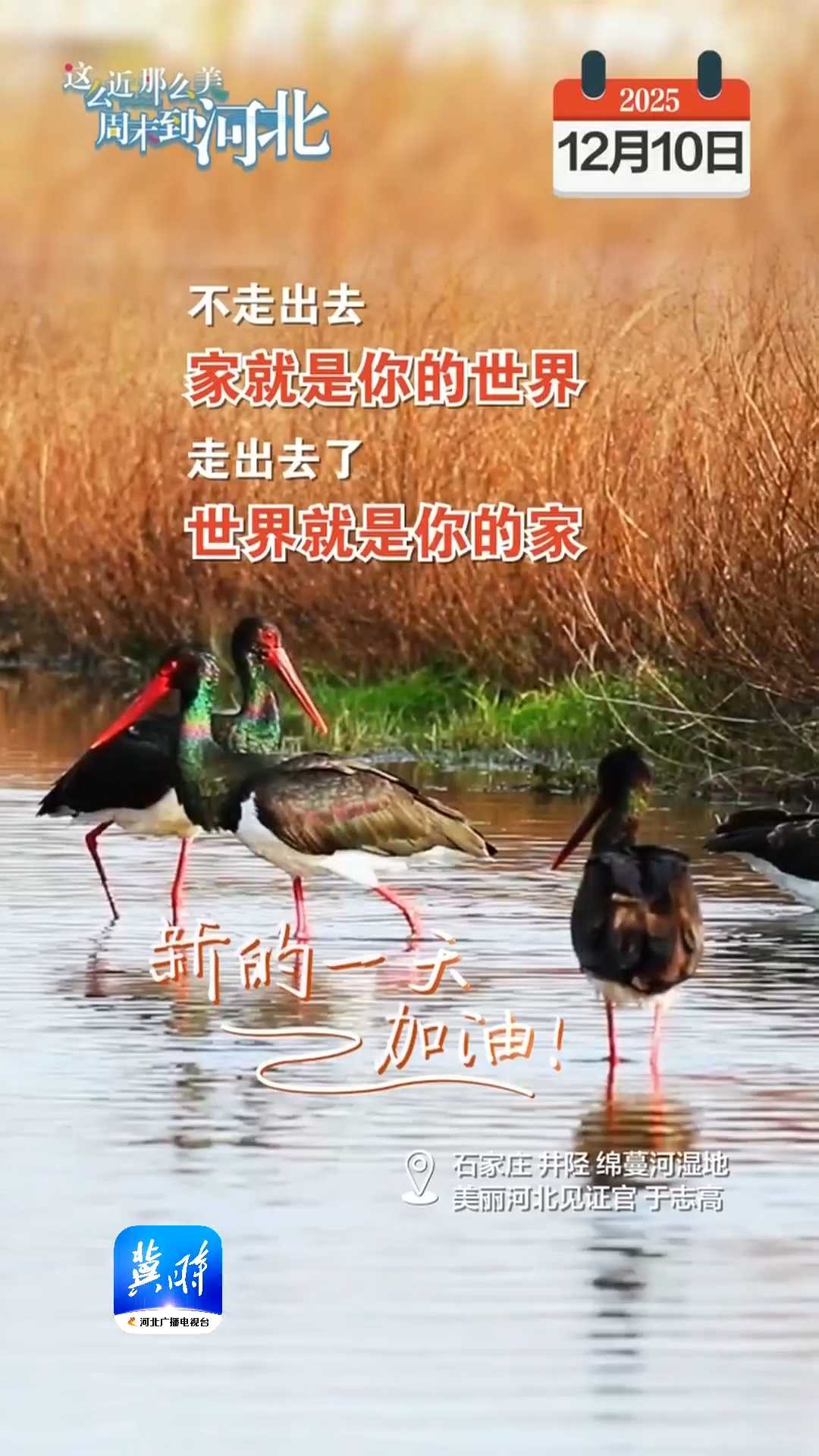 2025年12月10日 星期三 农历十月廿一｜不走出去，家就是你的世界，走出去了，世界就是你的家！新的一天，加油！