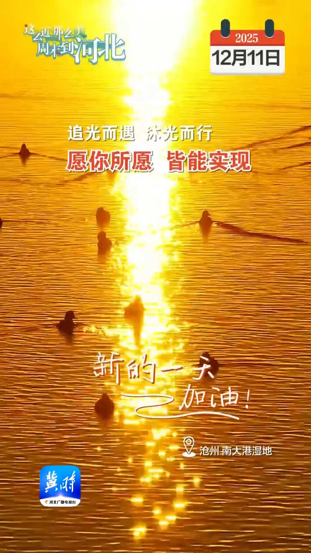 2025年12月11日 星期四 农历十月廿二｜追光而遇，沐光而行，愿你所愿皆能实现！新的一天，加油！