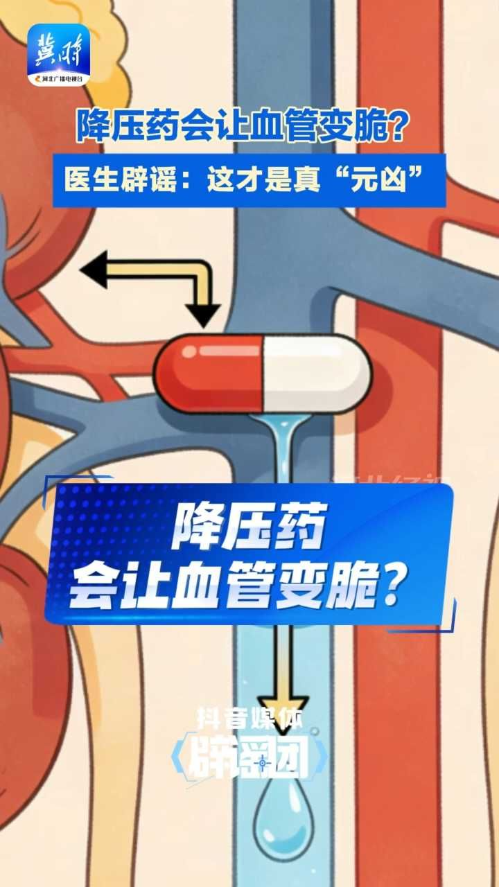 降压药越吃血管越脆？别瞎担心！真相是这样#降压药#抖音媒体辟谣团