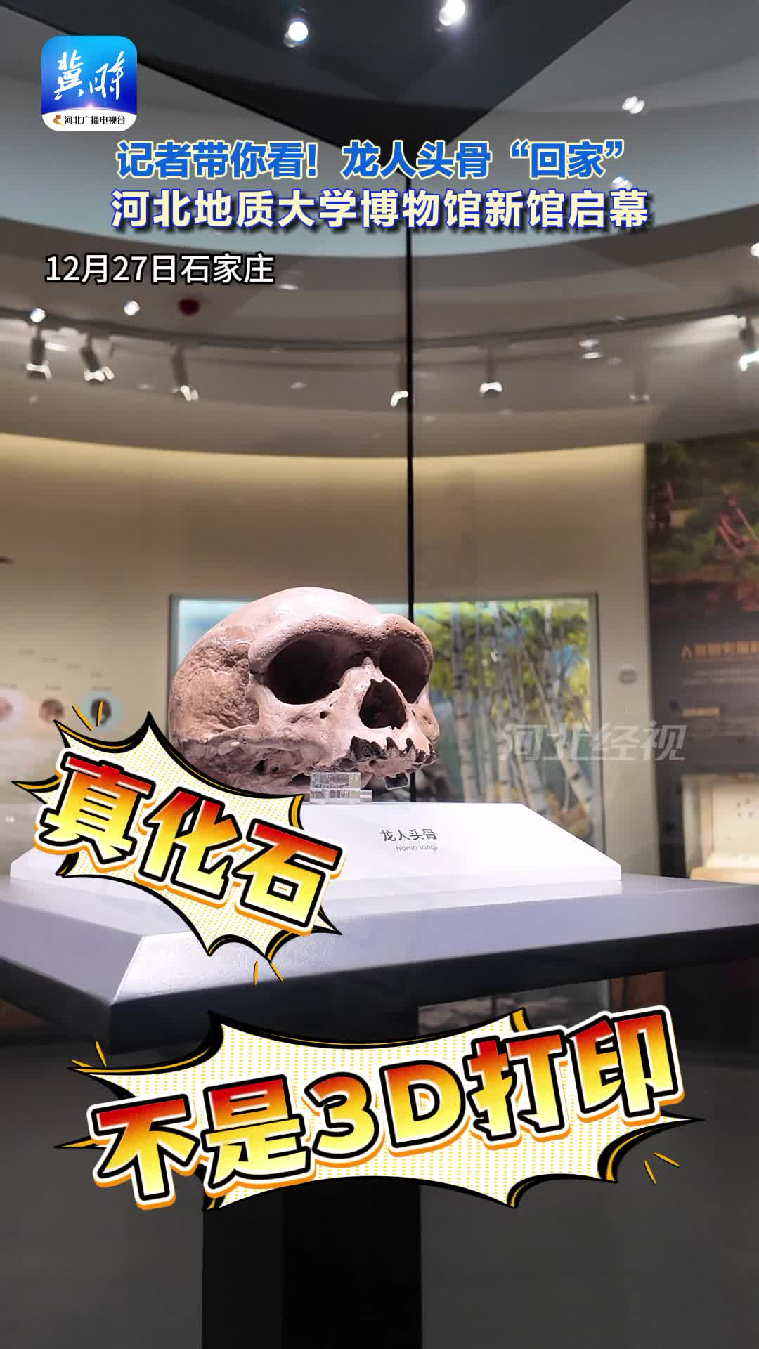 龙人头骨来了，速约！河北地质大学博物馆新馆即将开放