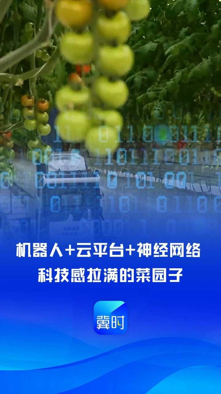 看见雄安丨机器人＋云平台＋神经网络 科技感拉满的菜园子