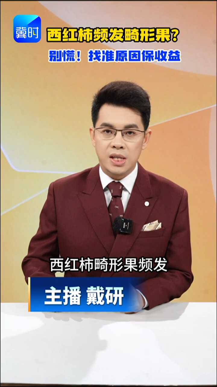 【为你代言】说技术｜西红柿频发畸形果？别慌！找准原因保收益