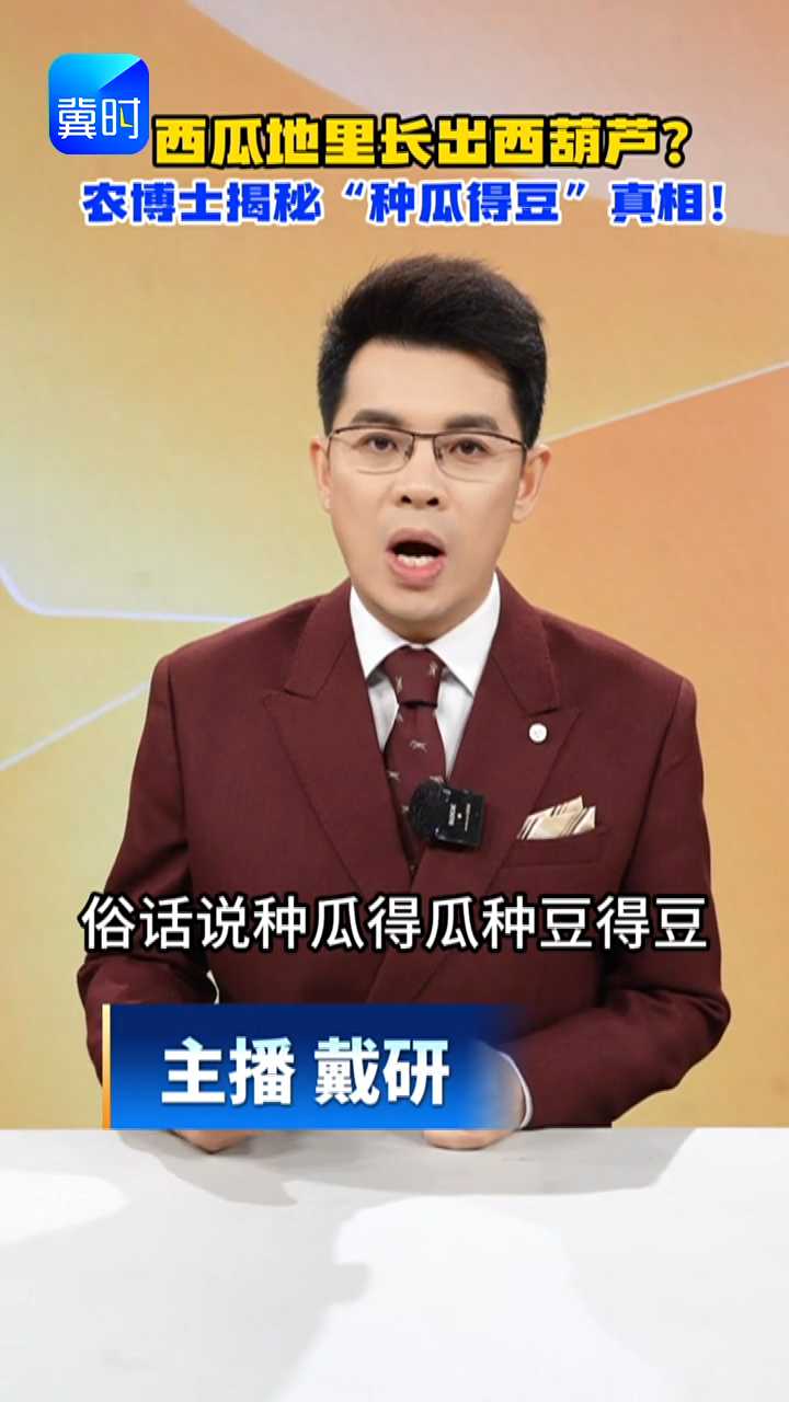 【专家在线】西瓜地里长出西葫芦？农博士揭秘“种瓜得豆”真相！