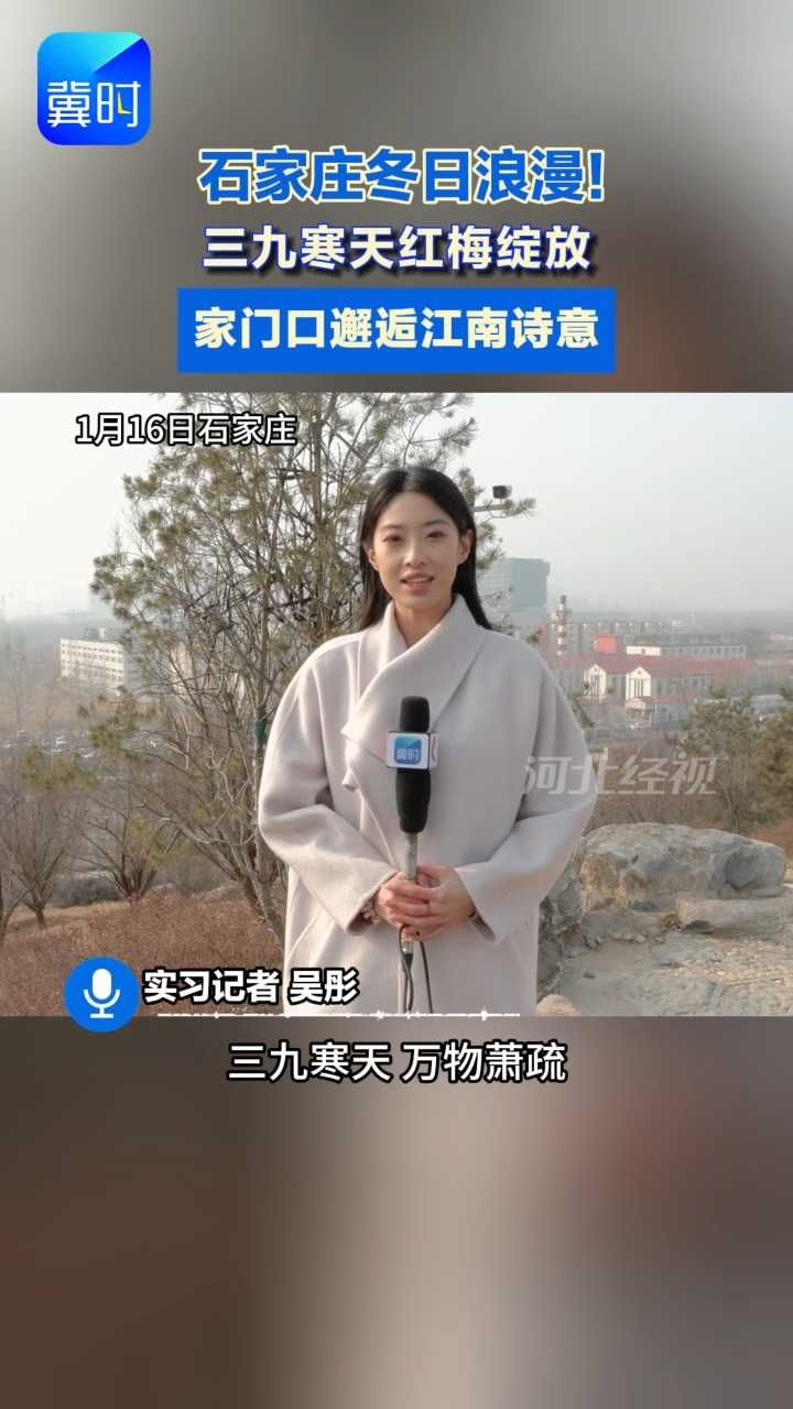 美翻了！石家庄梅岭春早公园红梅迎寒盛开，成新晋网红打卡地#三九寒天梅花开#家门口的江南诗意