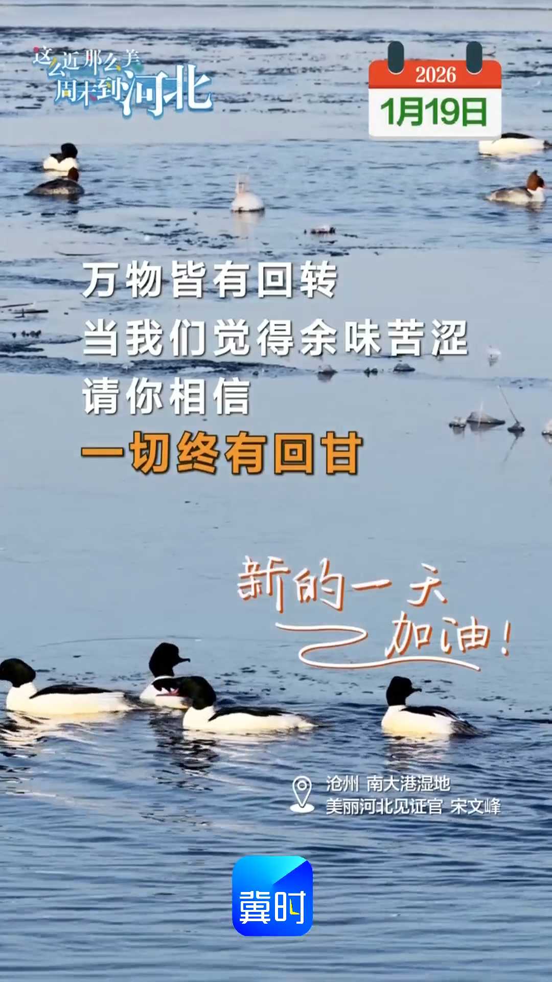 2026年1月19日 星期一 农历腊月初一｜万物皆有回转，当我们觉得余味苦涩，请你相信，一切终有回甘！新的一天，加油！