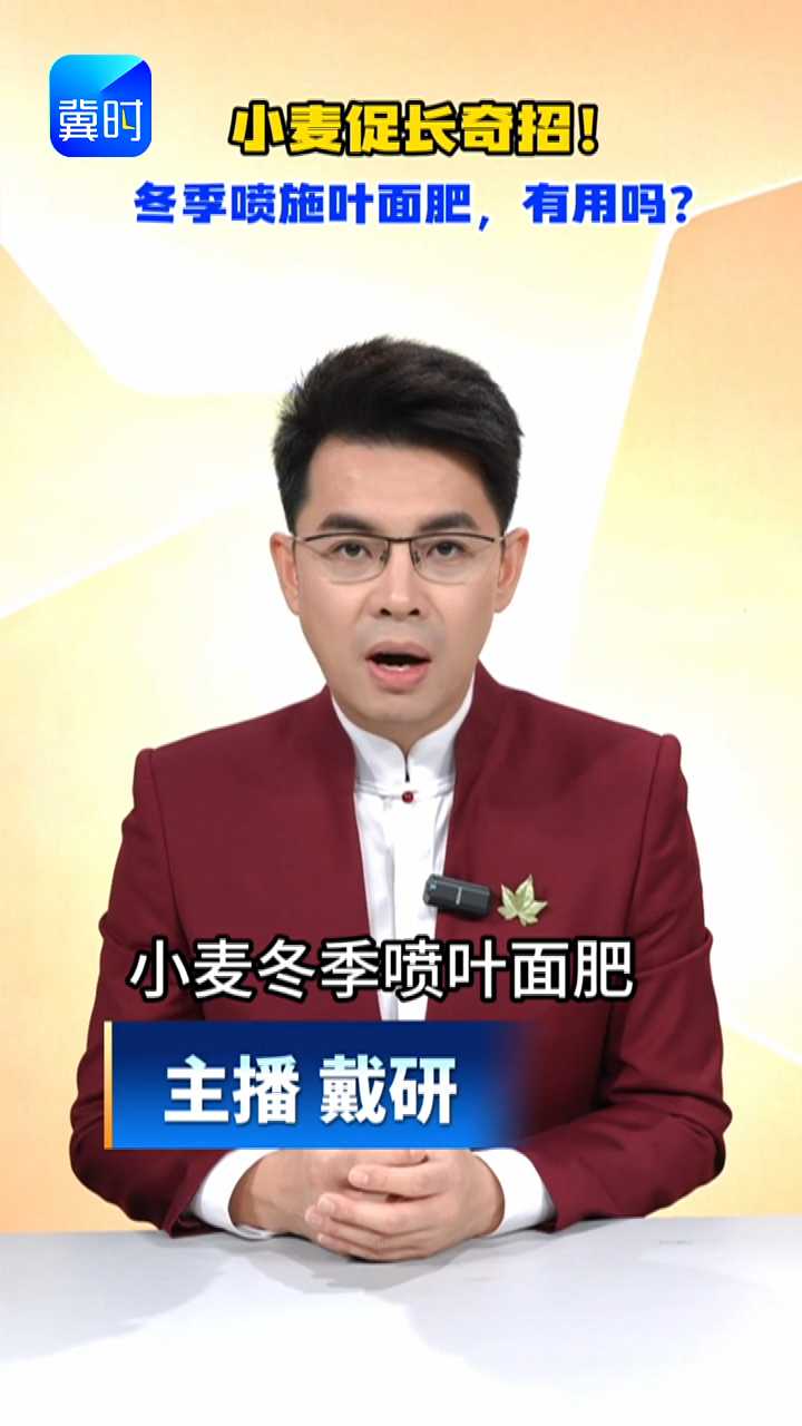 【专家在线】小麦促长奇招！冬季喷施叶面肥，有用吗？