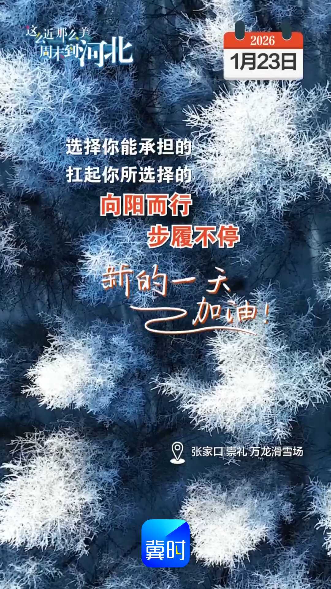 2026年1月23日 星期五 农历腊月初五｜选择你能承担的，扛起你所选择的，向阳而行，步履不停！新的一天，加油！
